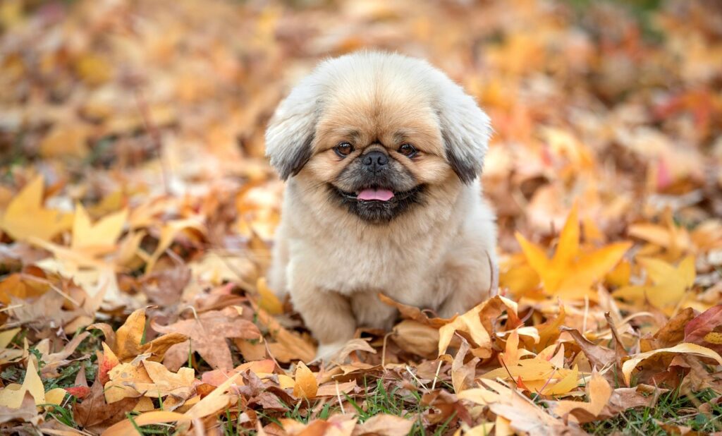 美顔ローラーの効果は男性にも期待できるのか？