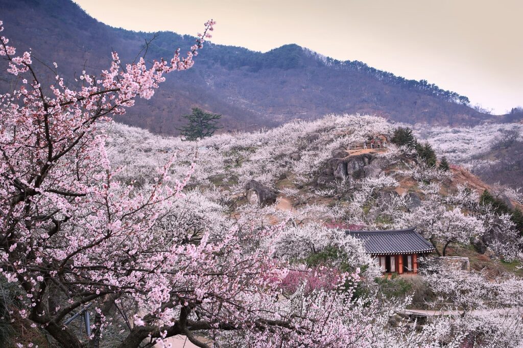 韓国メンズコスメのおすすめ商品は？