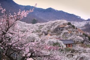 韓国メンズコスメのおすすめ商品は？