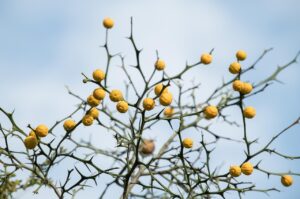 メンズにおすすめのアイクリームで目元ケアを始めるには？