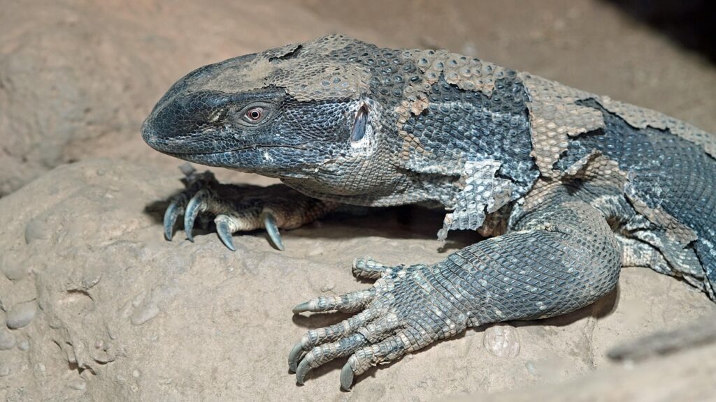 メンズのスキンケアにおける加齢対策はどうすればいい？