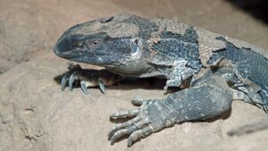 メンズのスキンケアにおける加齢対策はどうすればいい？