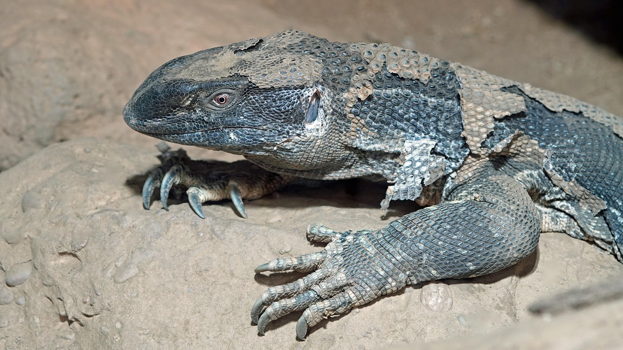 メンズのスキンケアにおける加齢対策はどうすればいい？