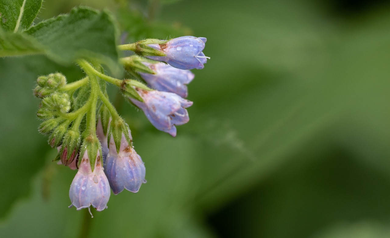 思春期の男のニキビ対策に最適なスキンケア方法は？