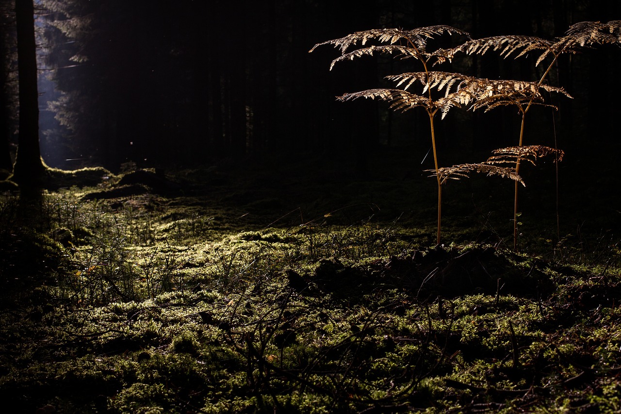 毛穴吸引器でメンズにおすすめのアイテムは？