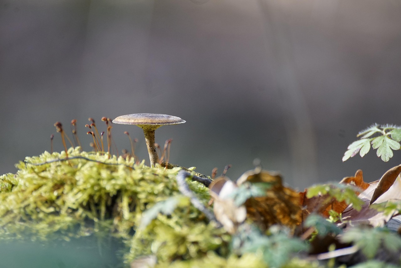 男性におすすめの毛穴美容液はどれ？