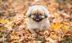 メンズエイジングケアはいつから始めるべき？