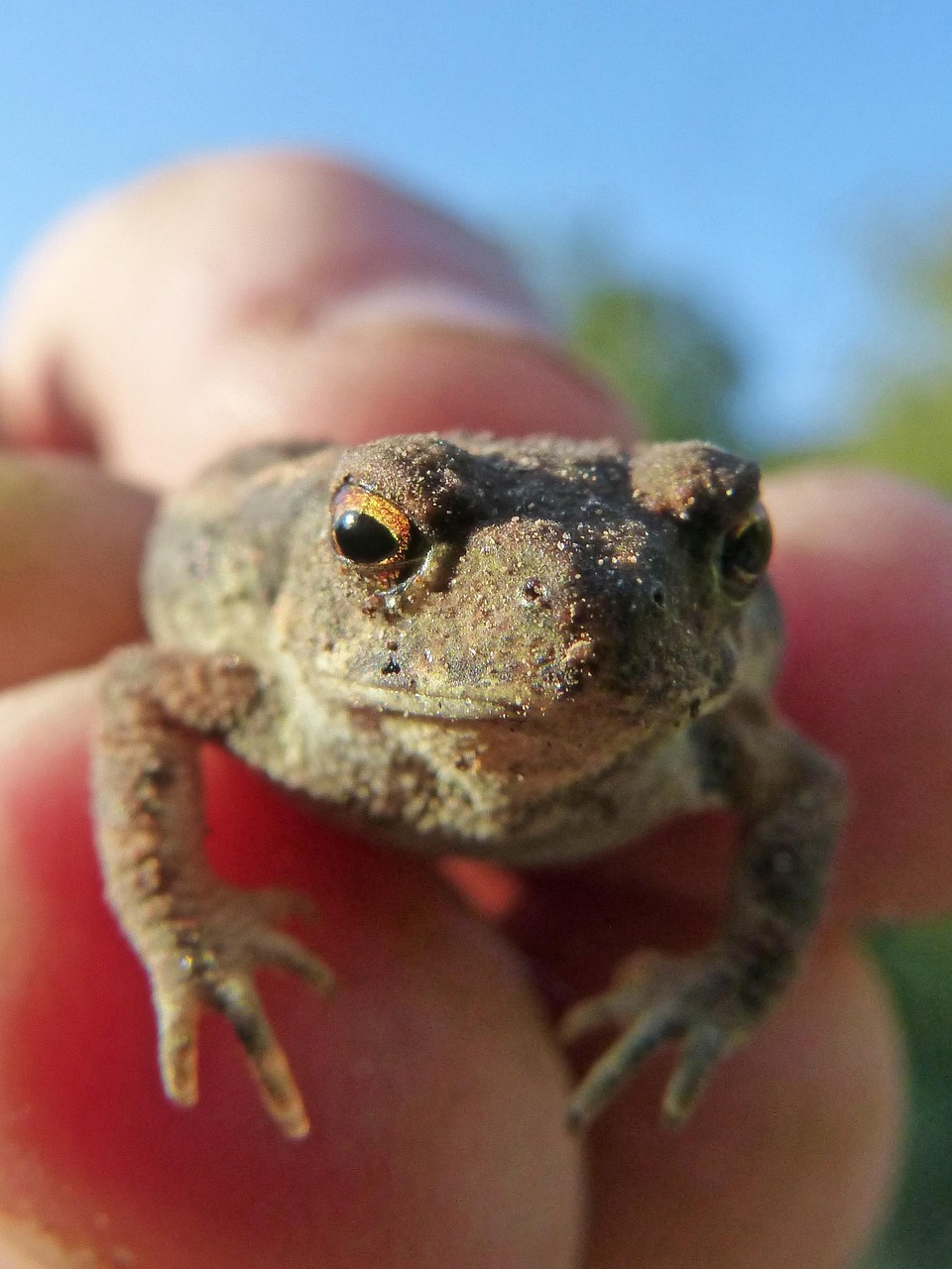 メンズスキンケアで肌荒れを改善するための効果的な方法は？
