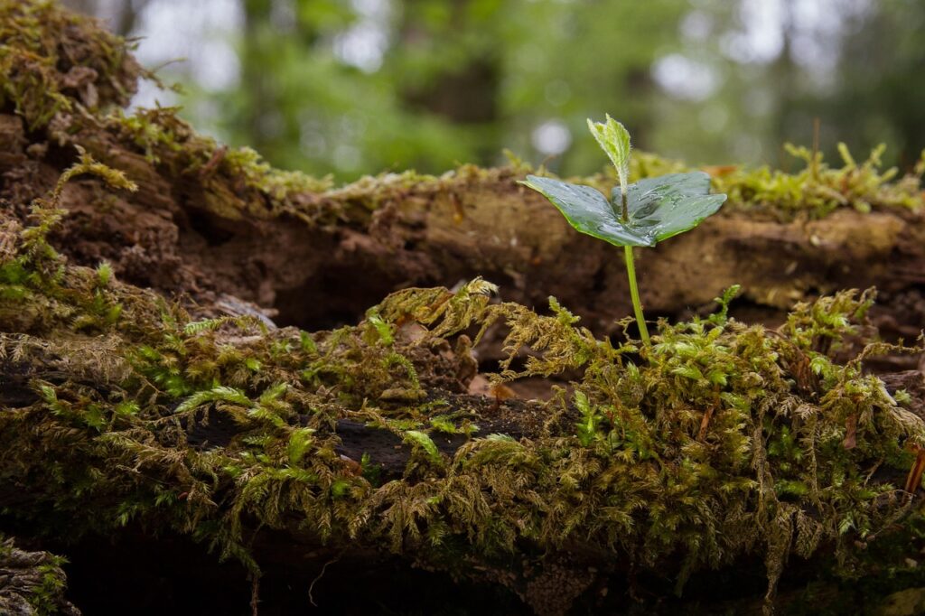 目元の若返りを実感するための期間はどれくらい？