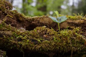 目元の若返りを実感するための期間はどれくらい？