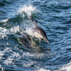 カウンセリングは丁寧に受けるべき？