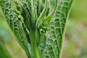 ニキビに効果的な洗顔の間違いとは？