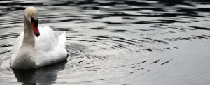 ニキビの治療には美肌効果があるのか？